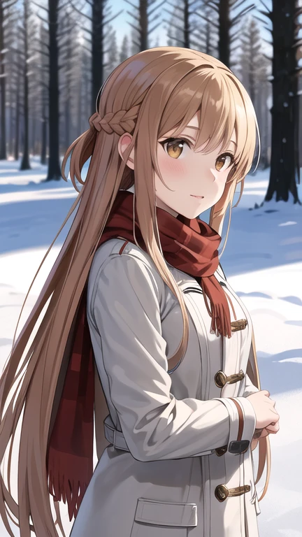 masterpiece, best quality, highres, aaasuna, long hair, brown hair, braid, brown eyes, coat, scarf, winter clothes, snow, outdoors,
