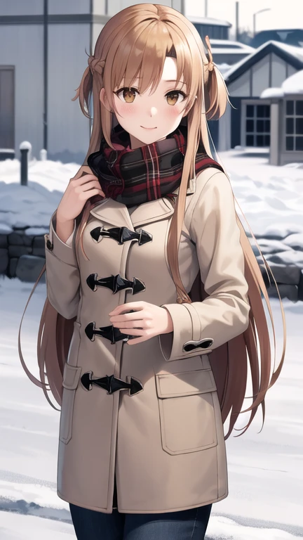 masterpiece, best quality, highres, aaasuna, long hair, brown hair, braid, brown eyes, coat, scarf, winter clothes, snow, outdoors,