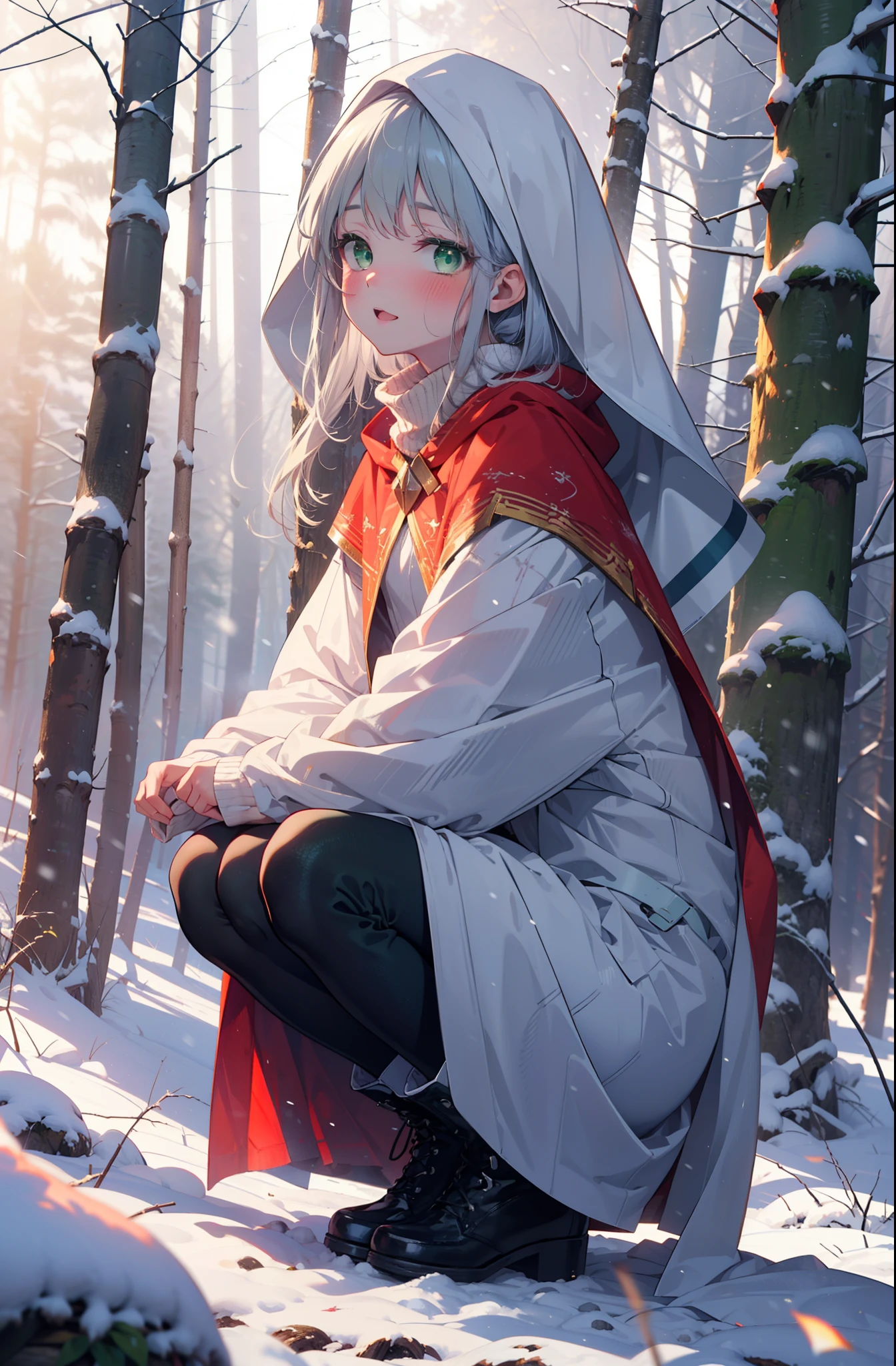 index, index, (Green Eyes:1.5), Silver Hair, Long Hair, (Flat Chest:1.2),smile,blush,White Breath,
Open your mouth,snow,Ground bonfire, Outdoor, boots, snowing, From the side, wood, suitcase, Cape, Blurred, , forest, White handbag, nature, Squat, Mouth closed, Cape, winter, Written boundary depth, Black shoes, red Cape break looking at viewer, Upper Body, whole body, break Outdoor, forest, nature, break (masterpiece:1.2), highest quality, High resolution, unity 8k wallpaper, (shape:0.8), (Beautiful and beautiful eyes:1.6), Highly detailed face, Perfect lighting, Highly detailed CG, (Perfect hands, Perfect Anatomy),