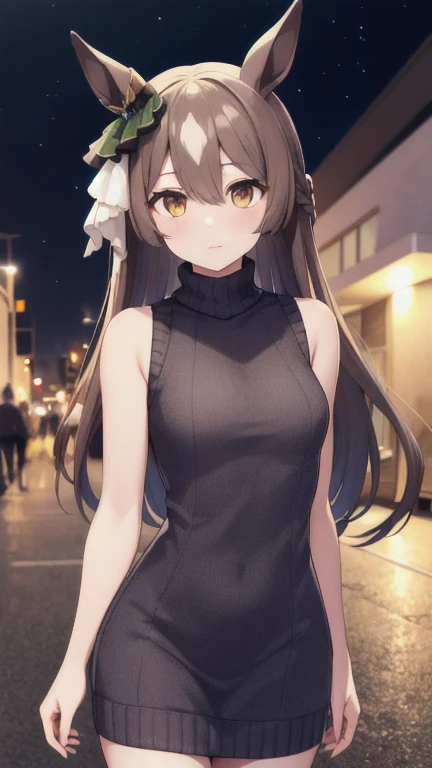 masterpiece, best quality, highres, aasato, long hair, half updo, braid, hair between eyes, animal ears, ear ornament, <lora:satono_diamond_v1-1:0.7>, sweater dress, turtleneck, sleeveless, night, street, cowboy shot,