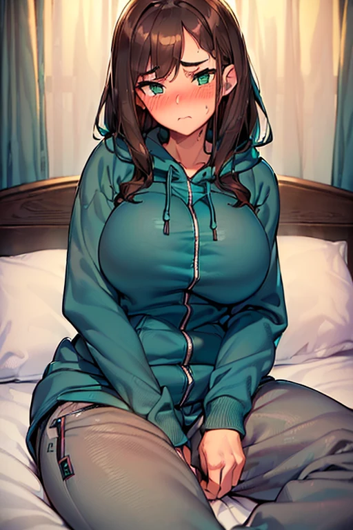 (((slightly big breasts))), ((best quality)), ((masterpiece)), (detailed), (((perfect face))), (((slender 16yo teen girl wearing teal zip hoodie))), (((gray sweatpants))), ((brunette, dark brown hair)), ((long wavy hair)), (((green eyes))), ((shy:1.3)), ((blushing:1.5)), (((siting on bed)))