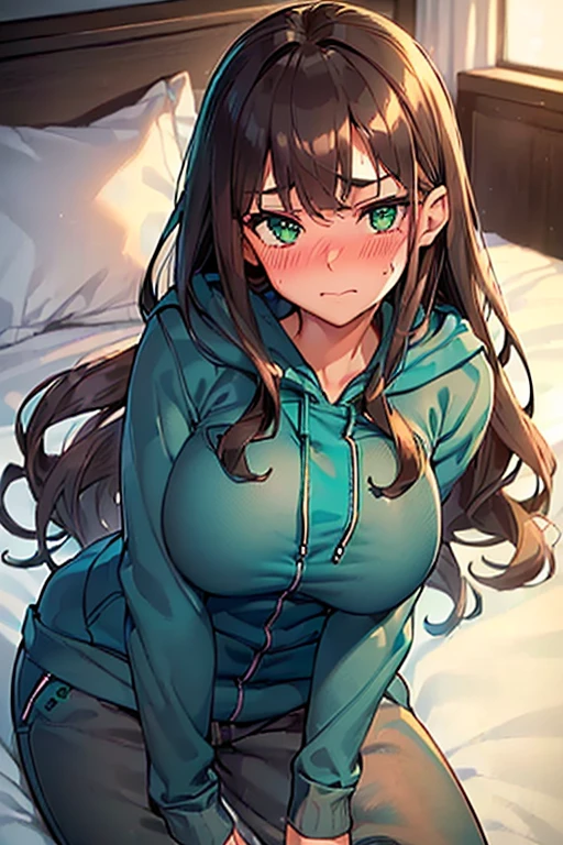 (((slightly big breasts))), ((best quality)), ((masterpiece)), (detailed), (((perfect face))), (((slender 16yo teen girl wearing teal zip hoodie))), (((gray sweatpants))), ((brunette, dark brown hair)), ((long wavy hair)), (((green eyes))), ((slight smile)), ((blushing:1.5)), (((laying on bed)))