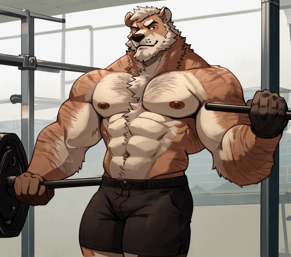solo, 1boy, Huge Muscular Old Grizzly Bear wearing glasses , pectoral, huge pectoral, wide pectoral, short white hair, short pants black wristbands and shirtless topless, bearded, Mustache, gym background, masterpiece, high detailed, 8k, high resolution, at the gym, exercising arms, lifting weights, bicep curls