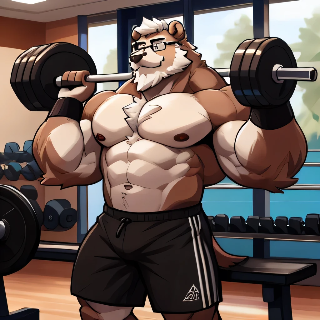 solo, 1boy, Huge Muscular Old Grizzly Bear wearing glasses , pectoral, huge pectoral, wide pectoral, short white hair, short pants black wristbands and shirtless topless, bearded, Mustache, gym background, masterpiece, high detailed, 8k, high resolution, horizontal, at the gym, exercising arms, lifting weights, bench press curls