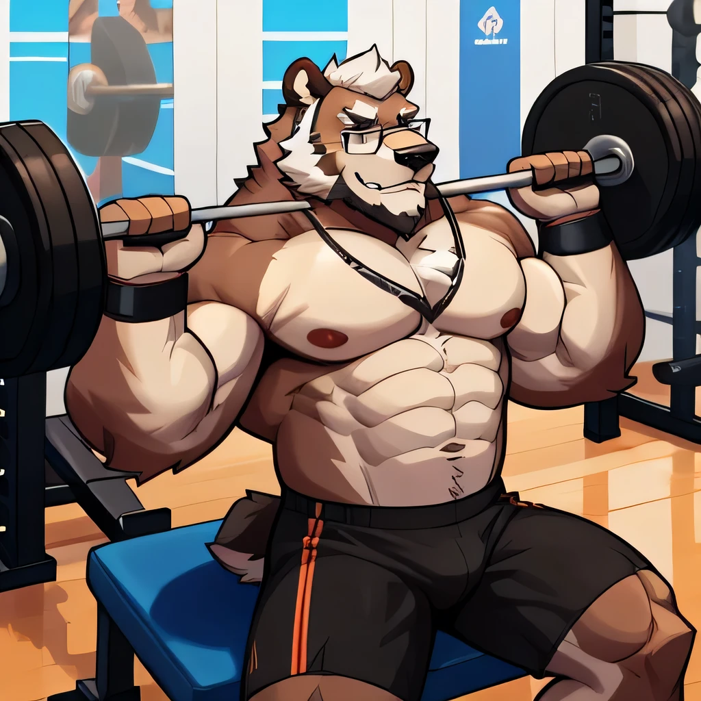 solo, 1boy, Huge Muscular Old Grizzly Bear wearing glasses , pectoral, huge pectoral, wide pectoral, short white hair, short pants black wristbands and shirtless topless, bearded, Mustache, gym background, masterpiece, high detailed, 8k, high resolution, horizontal, at the gym, exercising arms, lifting weights, inchest bench press