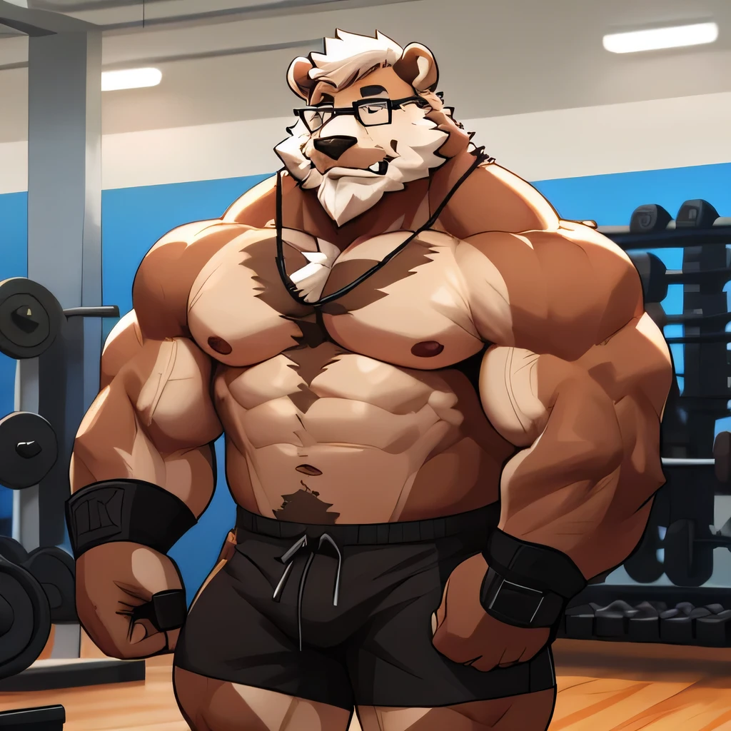 solo, 1boy, Huge Muscular Old Grizzly Bear wearing glasses , pectoral, huge pectoral, wide pectoral, short white hair, short pants black wristbands and shirtless topless, bearded, Mustache, gym background, masterpiece, high detailed, 8k, high resolution, at the gym, dropping down, pushups,
