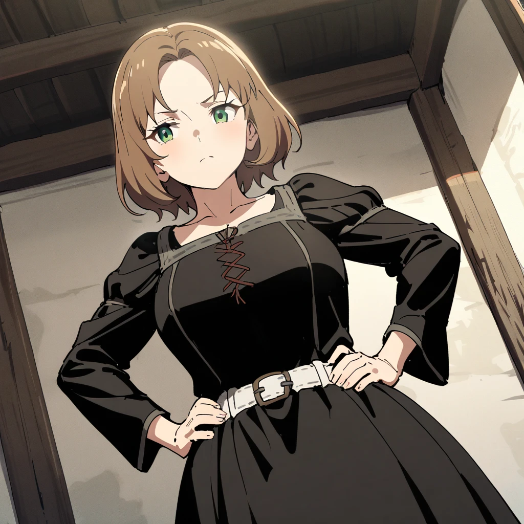 {{upper body, dutch angle}} {{Artist: sincos}} 1girl, mature female, brown hair, short hair, green eyes, black dress, white belt, indoors, living room, standing, hands on hips, pov, medieval fantasy.