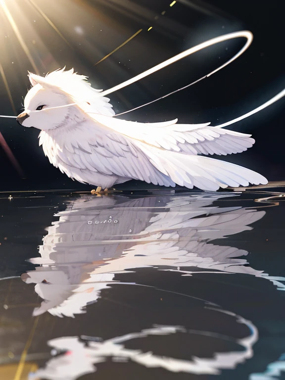 8k, (reflection light:1.5)