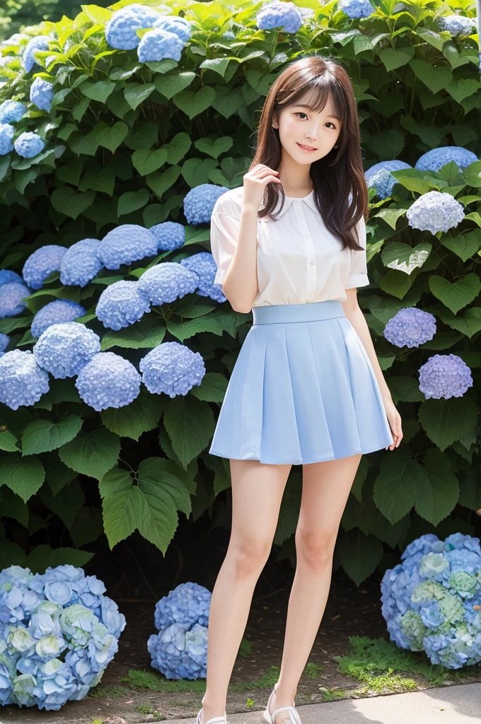 A cute 20-year-old girl standing in a park with hydrangeas in bloom（mini skirt）