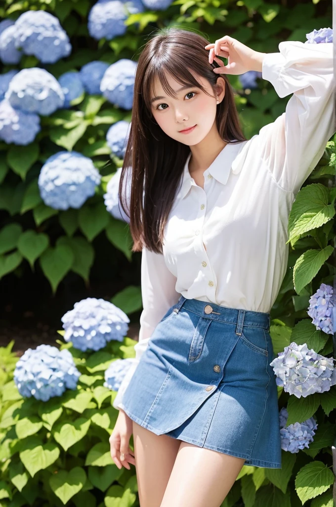 A cute 20-year-old girl in a park with hydrangeas in bloom(mini skirt)