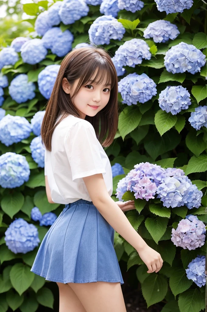A cute 20-year-old girl in a park with hydrangeas in bloom(mini skirt)