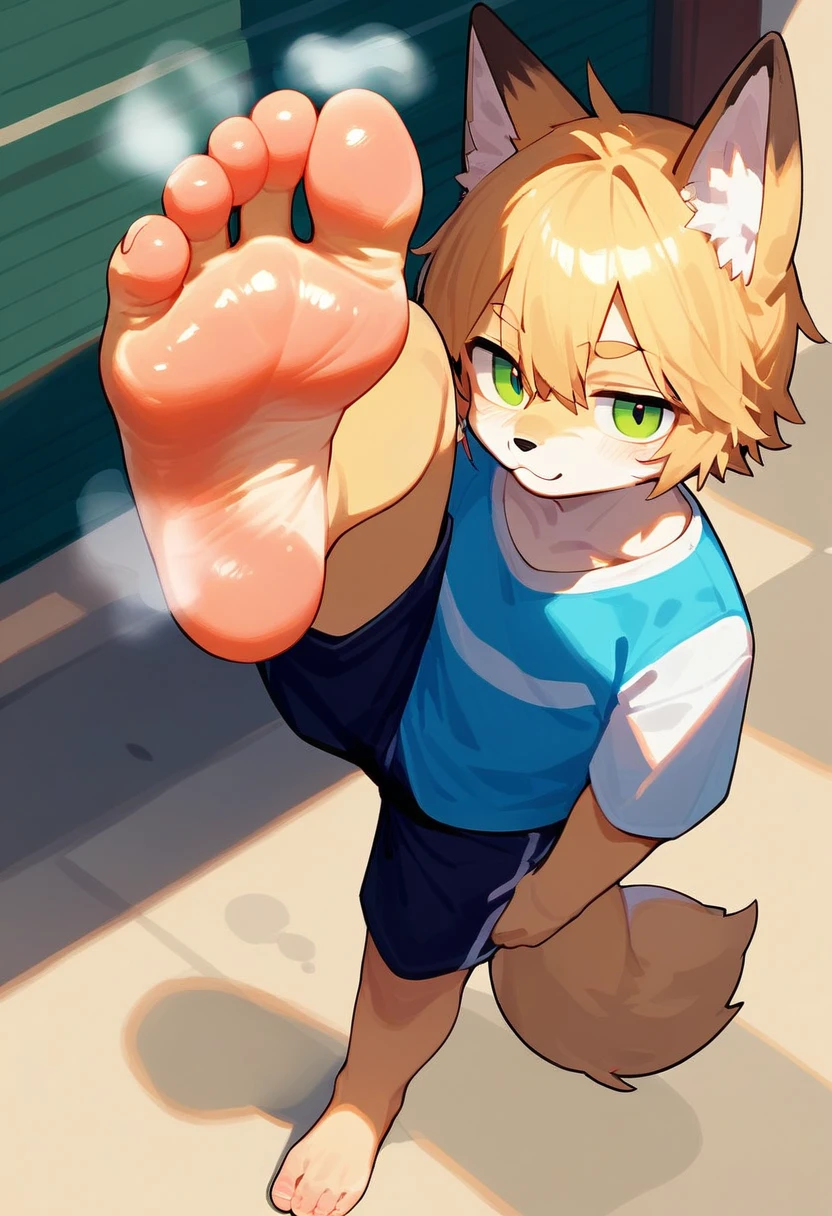 score_9,score_8_up,score_7_up,score_6_up,score_5_up,source_anime,source_furry, hadrian,from above,fisheye,standing and show foot,shanding and show sole,standing on one leg,foot focus,sole,barefoot,no shoes, furry male, fox boy,paw_sloe,sharp_toenails, pawpads, shorts, (stinky feet:1.3)