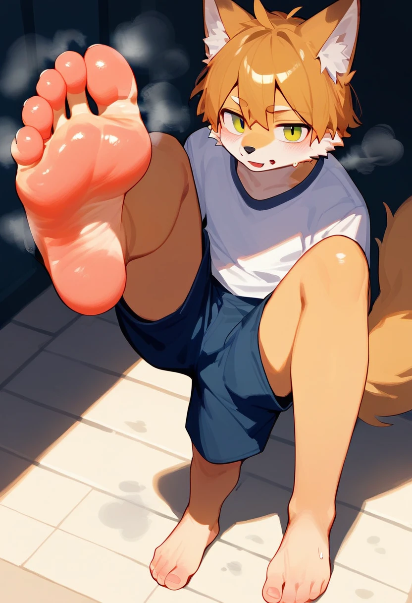 score_9,score_8_up,score_7_up,score_6_up,score_5_up,source_anime,source_furry, hadrian,from above,fisheye,standing and show foot,shanding and show sole,standing on one leg,foot focus,sole,barefoot,no shoes, furry male, fox boy,paw_sloe,sharp_toenails, pawpads, shorts, (stinky feet:1.3)