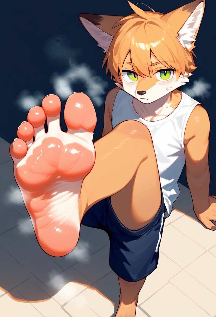 score_9,score_8_up,score_7_up,score_6_up,score_5_up,source_anime,source_furry, hadrian,from above,fisheye,sitting and show foot,shanding and show sole,standing on one leg,foot focus,sole,barefoot,no shoes,  furry male, fox boy,paw_sloe,sharp_toenails, pawpads, shorts, (stinky feet:1.3)