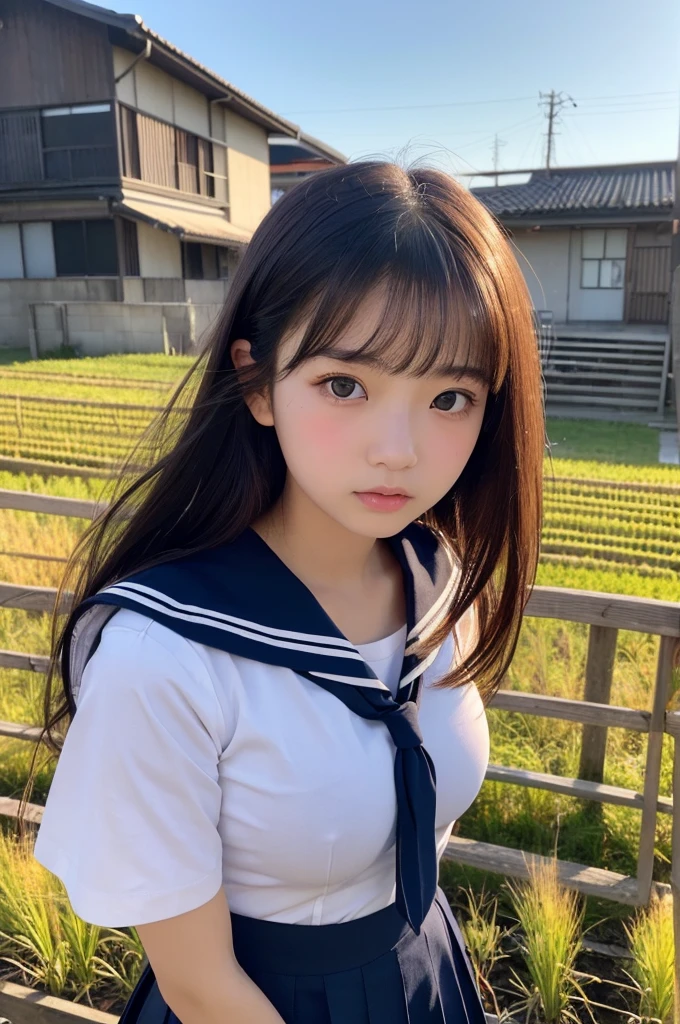 (1 Girl )、(Beautiful Japanese、18years old,round face、Refreshing、clear、seems kind、stylish、Pitiful、cute like an angel、cute、black eyes、,actress,Almond-shaped eyes,Translucent white skin、Beautiful skin), Good style , (((Beautiful big breasts:0.8))),(((soft breasts))),(very cute),(Black hair),(enchanting eyes),(highlight on eyes:1.2)、(8K、Live shooting、highest quality、masterpiece:1.2、optimal lighting)、((masterpiece)),(Photo taken by a professional photographer),(real、photo real:1.4),break,{ (cute Japanese high school sailor uniform),((Sailor Suit:1.0))},(cheeks are red:1.3), break, break,Face shot:1.3、 face close-up,Looking at viewer、(Cleavage:0.7)、From above,(high school),Troubled face:1.4、Japanese school、School gym:1.4,,Japan rice fields,evening、Student bag、Japanese countryside,evening