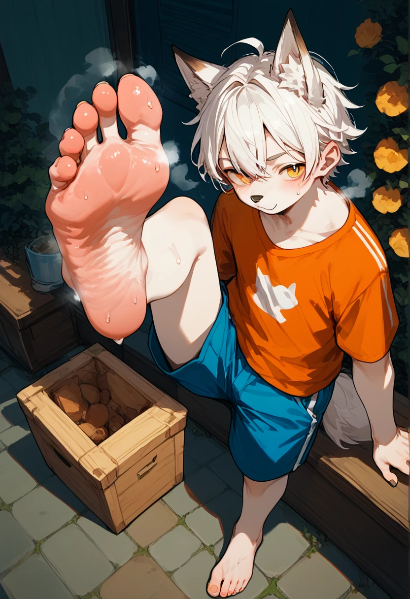 score_9,score_8_up,score_7_up,score_6_up,score_5_up,source_anime,source_furry, hadrian,from above,fisheye,sitting and show foot,shanding and show sole,standing on one leg,foot focus,sole,barefoot,no shoes,  furry male, fox boy,paw_sloe,sharp_toenails, pawpads, shorts, (stinky feet:1.3)