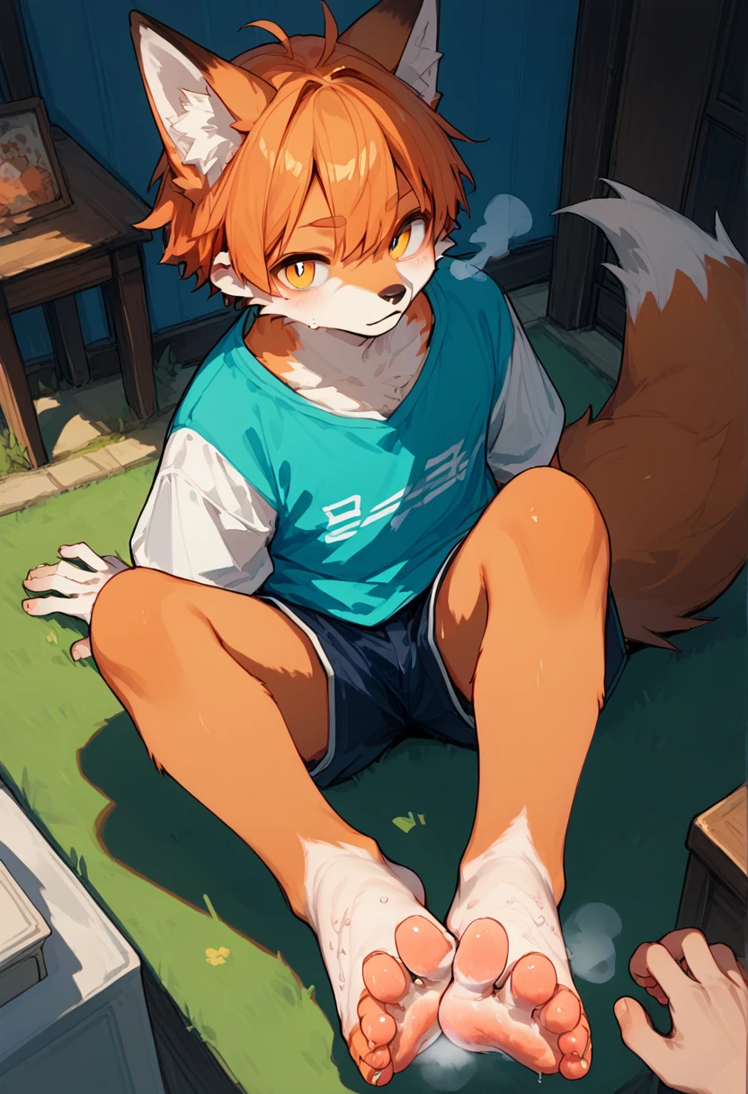 score_9,score_8_up,score_7_up,score_6_up,score_5_up,source_anime,source_furry, hadrian,from above,fisheye,sitting and show foot,shanding and show sole,standing on one leg,foot focus,sole,barefoot,no shoes,  furry male, fox boy,paw_sloe,sharp_toenails, pawpads, shorts, (stinky feet:1.3)