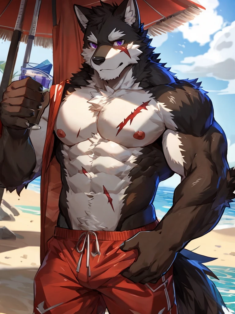 embedding:black wolf, male,purple eyes,Scar on the face, scar on the body,Single Person,sunglasses,A swimsuit,Beach Pants,Mature, The highest quality of scene detail,adult,Tall and powerful,muscle,Best quality hands, best quality eye,detailed fur,Delicate eyes.Extreme picture quality,by sollyz,by zixiong,by milkytiger1145