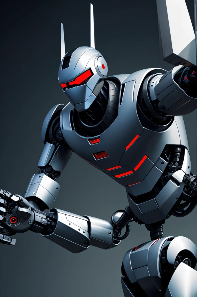 Robot