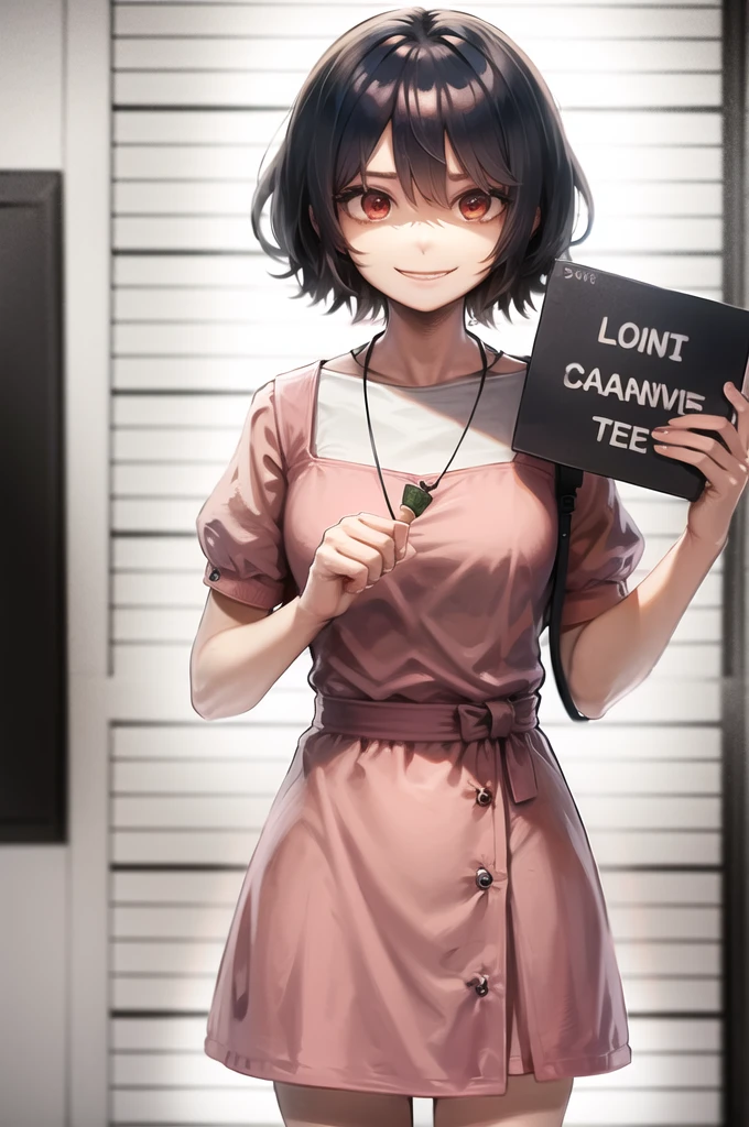 highres,  inaba tewi,  short hair, carrot necklace, short sleeves, pink dress, evil smile, holding sign, height chart,