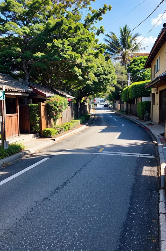 Beautiful streets of Hawaii