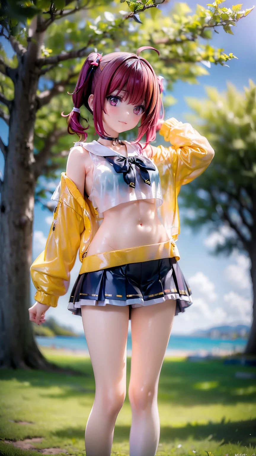 (Meyrin_Hawk)、(Fluffy side twin tails)、(Yellow Summer Sweater)、(Black mini skirt)、A little small, normal chest、