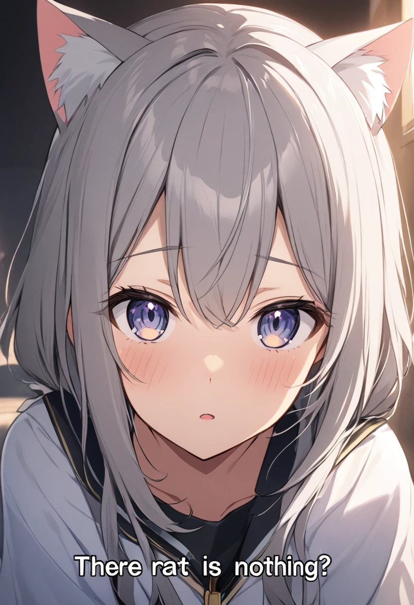 One girl, That will happen, View Viewer, Gray Hair, there is nothing, Cat ear, Cat's Tail, White shirt, Open clothes, Russian cities, ba-shiroko