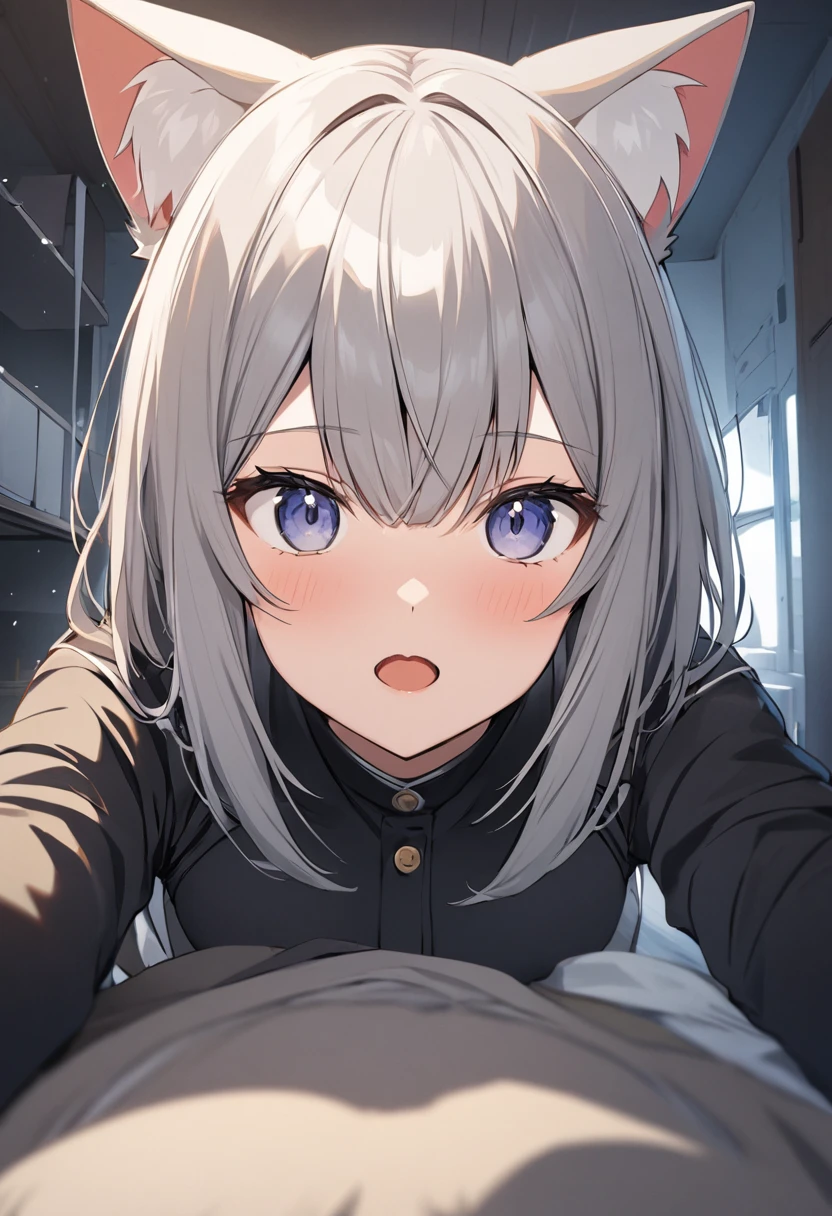 One girl, That will happen, View Viewer, Gray Hair, there is nothing, Cat ear, Cat&#39;s Tail, White shirt, Open clothes, Russian cities, ba-shiroko