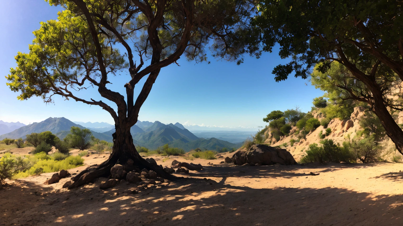 Um deserto de pedras, existem montanhas no horizonte, you are at the base of the mountains, there a black tree, silver drips from the tree's green buds, liquid metal drips down the branches, hardening around the roots like sparkling ice.