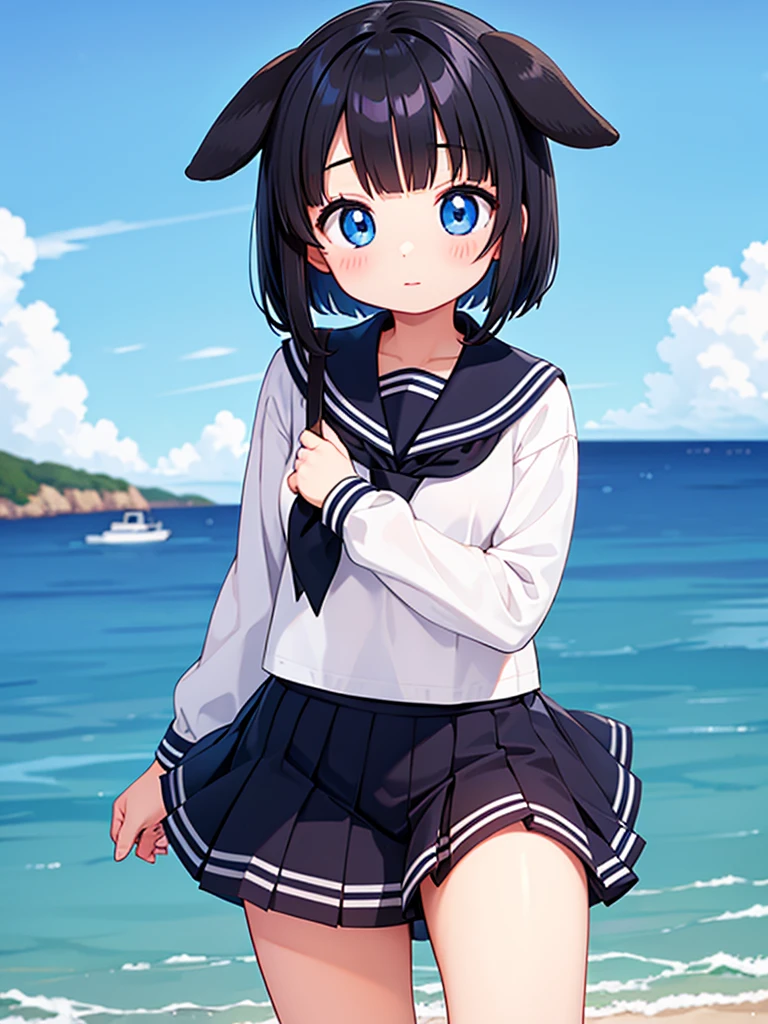 Short black hair Adult female Dog Ears Dark blue colored eyes Wearing a sailor uniform