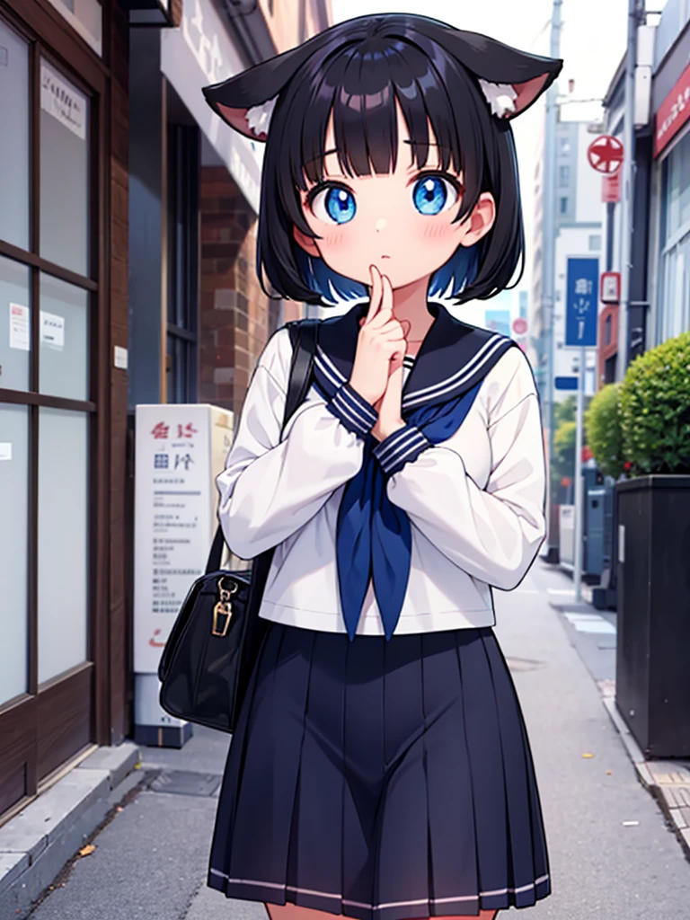 Short black hair Adult female　Dog Ears　Dark blue colored eyes　Wearing a sailor uniform　of the city