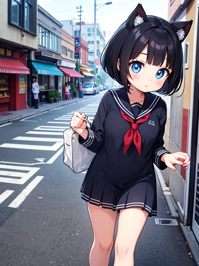 Short black hair Adult female Dog Ears Dark blue colored eyes Wearing a sailor uniform of the city