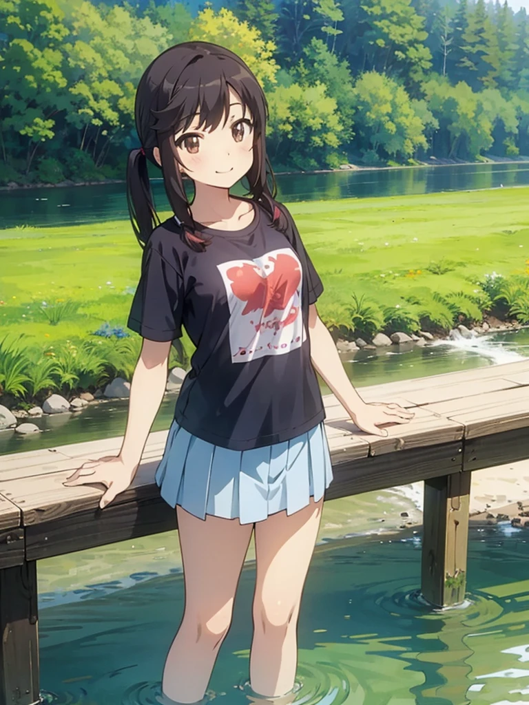 masterpiece, best quality, nonhotaru, solo, twintails, small breasts, ****, (petite),
 smile, standing, t-shirt, miniskirt, river, Japanese countryside,