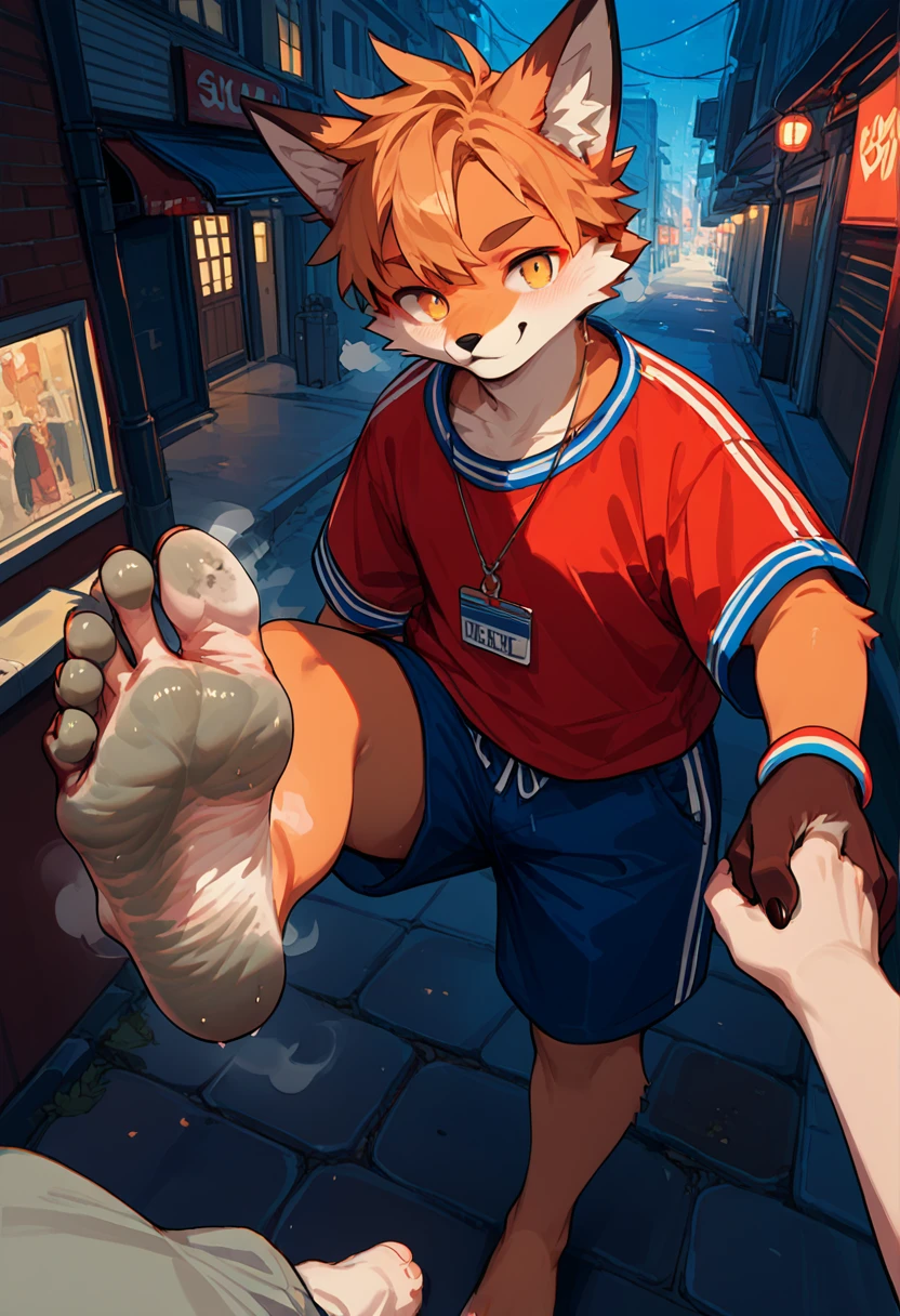 score_9,score_8_up,score_7_up,score_6_up,score_5_up,source_anime,source_furry, hadrian,from above,fisheye, standing and show foot, standing and show sole,standing on one leg,foot focus,sole,barefoot,no shoes,  furry male, fox boy,paw_sloe,sharp_toenails, pawpads, shorts, (stinky feet:1.3), alleyway, Street art, vibrant, urban, detailed, tag, mural, grafitti, public, night, (pov, hand holding foot, brown furred hand)