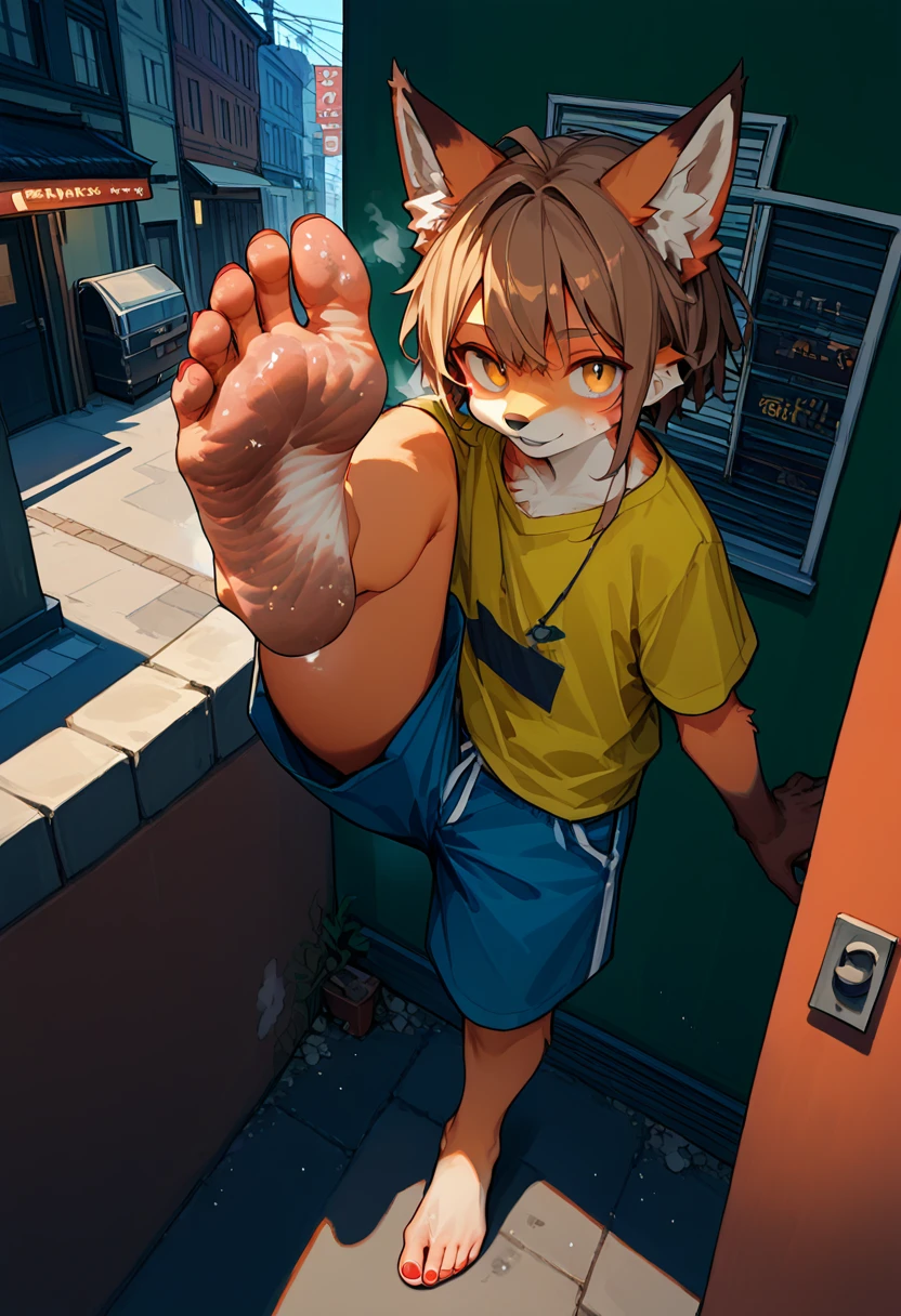 score_9,score_8_up,score_7_up,score_6_up,score_5_up,source_anime,source_furry, hadrian,from above,fisheye, standing and show foot, standing and show sole,standing on one leg,foot focus,sole,barefoot,no shoes,  furry male, fox boy,paw_sloe,sharp_toenails, pawpads, shorts, (stinky feet:1.3), alleyway, Street art, vibrant, urban, detailed, tag, mural, grafitti, public, night, (pov, hand holding foot, brown furred hand)