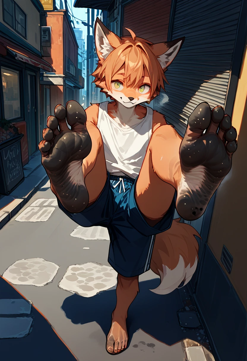 score_9,score_8_up,score_7_up,score_6_up,score_5_up,source_anime,source_furry, hadrian,from above,fisheye, standing and show foot, standing and show sole,standing on one leg,foot focus,sole,barefoot,no shoes, furry male, fox boy,paw_sloe,sharp_toenails, pawpads, shorts, (stinky feet:1.3), alleyway, dead end, Street art, vibrant, urban, detailed, tag, mural, grafitti, public, night, (pov, hand holding foot, brown furred hand)