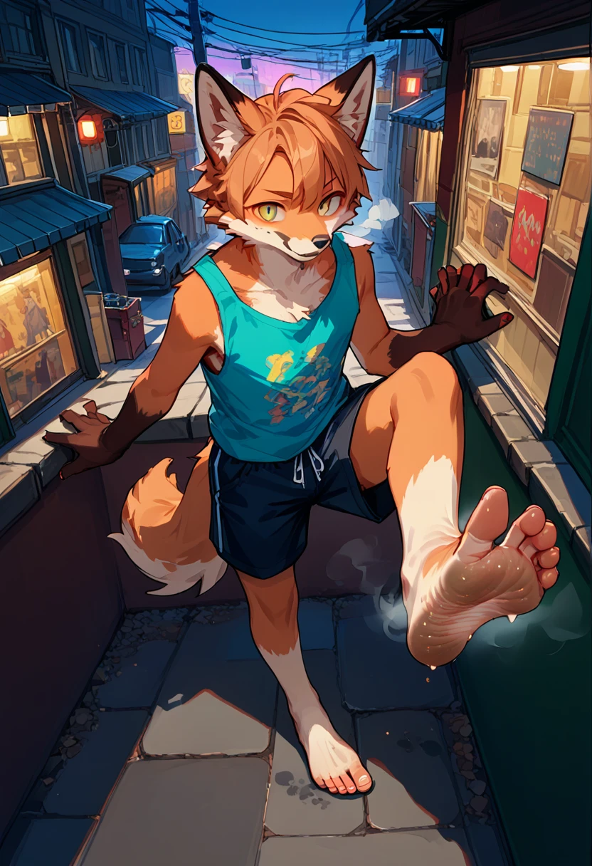 score_9,score_8_up,score_7_up,score_6_up,score_5_up,source_anime,source_furry, hadrian,from above,fisheye, standing and show foot, standing and show sole,standing on one leg,foot focus,sole,barefoot,no shoes,  furry male, fox boy,paw_sloe,sharp_toenails, pawpads, shorts, (stinky feet:1.3), alleyway, dead end, Street art, vibrant, urban, detailed, tag, mural, grafitti, public, night, (pov, hand holding foot, brown furred hand)