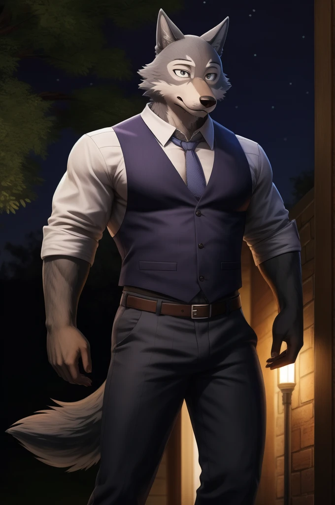 Legoshi is a tall, lean gray wolf, fur on his body is bluish gray, while his face, neck, and chest fur are a cream color, wearing a indigo vest, a dark gray tie, black suspenders, gray pants with dark gray vertical stripes, and brown loafers, anthro wolf, male, adult, muscles, grey fur, buffed body, tail, sexy, beefy body, furred body, furry chest hair, realistic, full body, photorealistic, ultra realistic, 8k, night, bare-chested