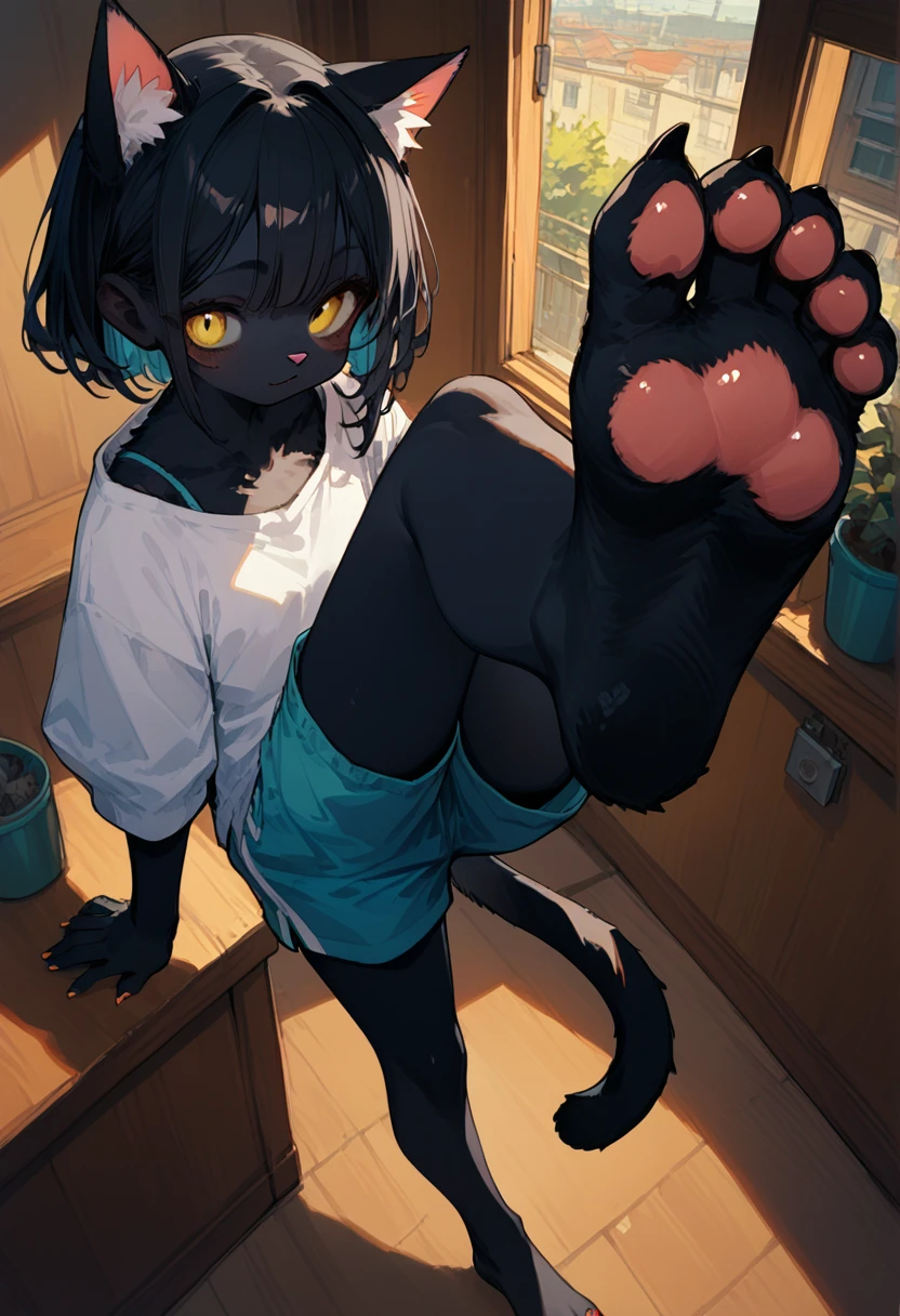 score_9,score_8_up,score_7_up,score_6_up,score_5_up,source_anime,source_furry, hadrian,from above,fisheye,standing and show foot,shanding and show sole,standing on one leg,foot focus,sole,barefoot,no shoes,  furry female, cat girl, black fur, yellow eyes, black hair, paw_sloe,sharp_toenails, pawpads, shorts