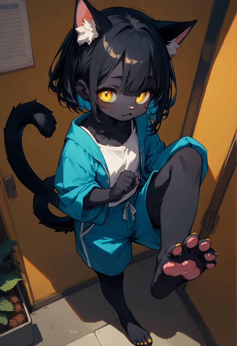 score_9,score_8_up,score_7_up,score_6_up,score_5_up,source_anime,source_furry, hadrian,from above,fisheye,standing and show foot,shanding and show sole,standing on one leg,foot focus,sole,barefoot,no shoes, furry female, cat girl, black fur, yellow eyes, black hair, paw_sloe,sharp_toenails, pawpads, shorts