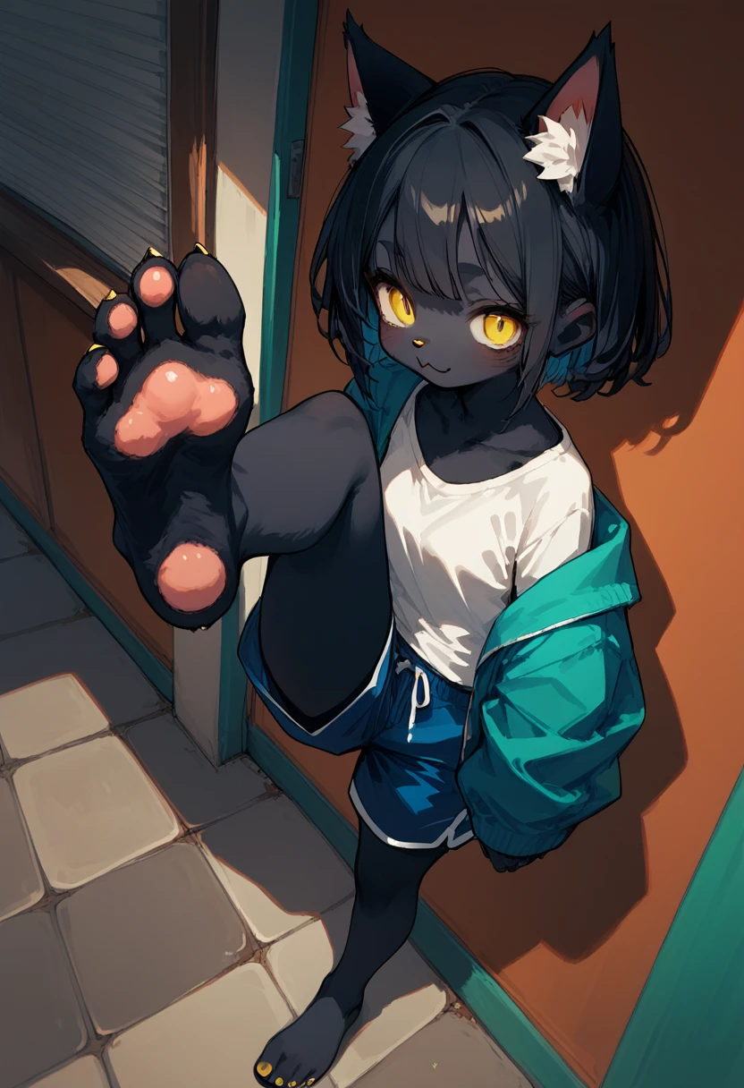 score_9,score_8_up,score_7_up,score_6_up,score_5_up,source_anime,source_furry, furry female, cat girl, black fur, yellow eyes, black hair, paw_sloe,sharp_toenails, pawpads, (standing and show foot,standing and toe-point,toe-point,from above,standing,foot focus,leg up,fish eye,standing on one leg), 

gym storeroom, hoodie,baseball cap,hands in pockets,micro shorts,steaming and sweat foot