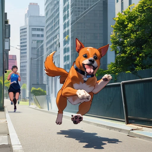running dog, urban