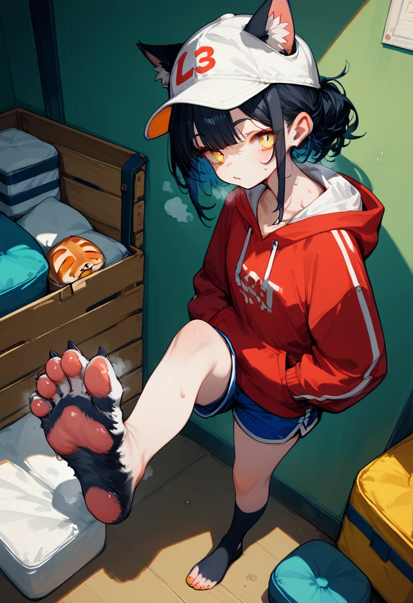 score_9,score_8_up,score_7_up,score_6_up,score_5_up,source_anime,source_furry, furry female, cat girl, black fur, yellow eyes, black hair, paw_sloe,sharp_toenails, pawpads, (standing and show foot,standing and toe-point,toe-point,from above,standing,foot focus,leg up,fish eye,standing on one leg), 

gym storeroom, hoodie,baseball cap,hands in pockets,micro shorts,steaming and sweat foot