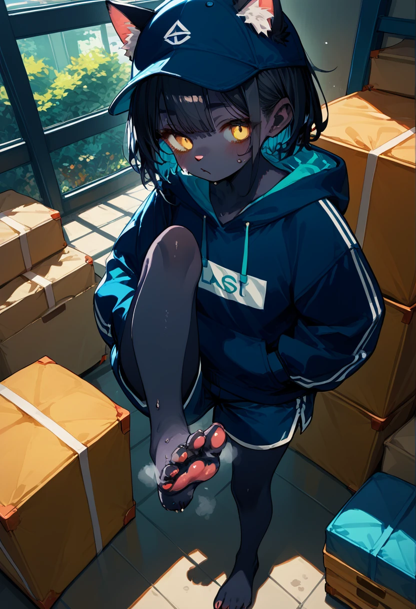 score_9,score_8_up,score_7_up,score_6_up,score_5_up,source_anime,source_furry, furry female, cat girl, black fur, yellow eyes, black hair, paw_sloe,sharp_toenails, pawpads, (standing and show foot,standing and toe-point,toe-point,from above,standing,foot focus,leg up,fish eye,standing on one leg),
gym storeroom, hoodie,baseball cap,hands in pockets,micro shorts,steaming and sweat foot
