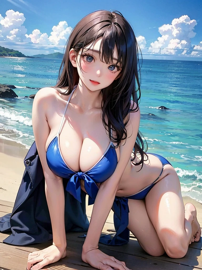 girl、Large Breasts、On all fours、Blue Bikini、Ocean、stare、