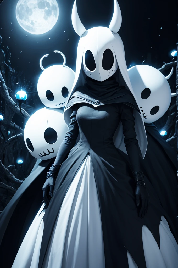Hollow knight