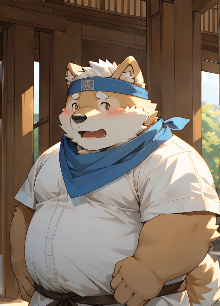 (masterpiece),(Very detailed),(best quality),hairy,Shiba Inu,fur,white hair,Gray pupil,Chubby,(poor),(Japan samurai attire),((blue scarf)),((Brown headband)),(blush:1.1),((shy)),紧张shy的表情,Temple Background,8K,(high quality),(Ultra high quality),(Super detailed),(Best Works)