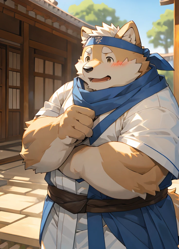 (masterpiece),(Very detailed),(best quality),hairy,Shiba Inu,fur,white hair,Gray pupil,Chubby,(poor),(Japan samurai attire),((blue scarf)),((Brown headband)),(blush:1.1),((shy)),紧张shy的表情,Temple Background,8K,(high quality),(Ultra high quality),(Super detailed),(Best Works)