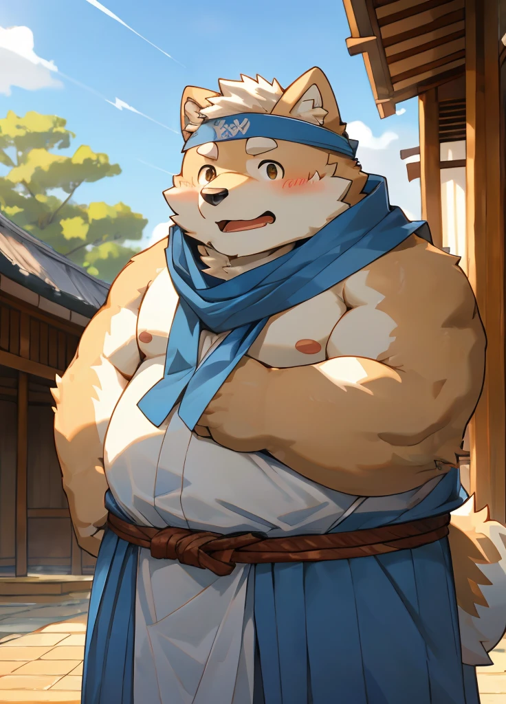 (masterpiece),(Very detailed),(best quality),hairy,Shiba Inu,fur,white hair,Gray pupil,Chubby,(poor),(Japan samurai attire),((blue scarf)),((Brown headband)),(blush:1.1),((shy)),紧张shy的表情,Temple Background,8K,(high quality),(Ultra high quality),(Super detailed),(Best Works)