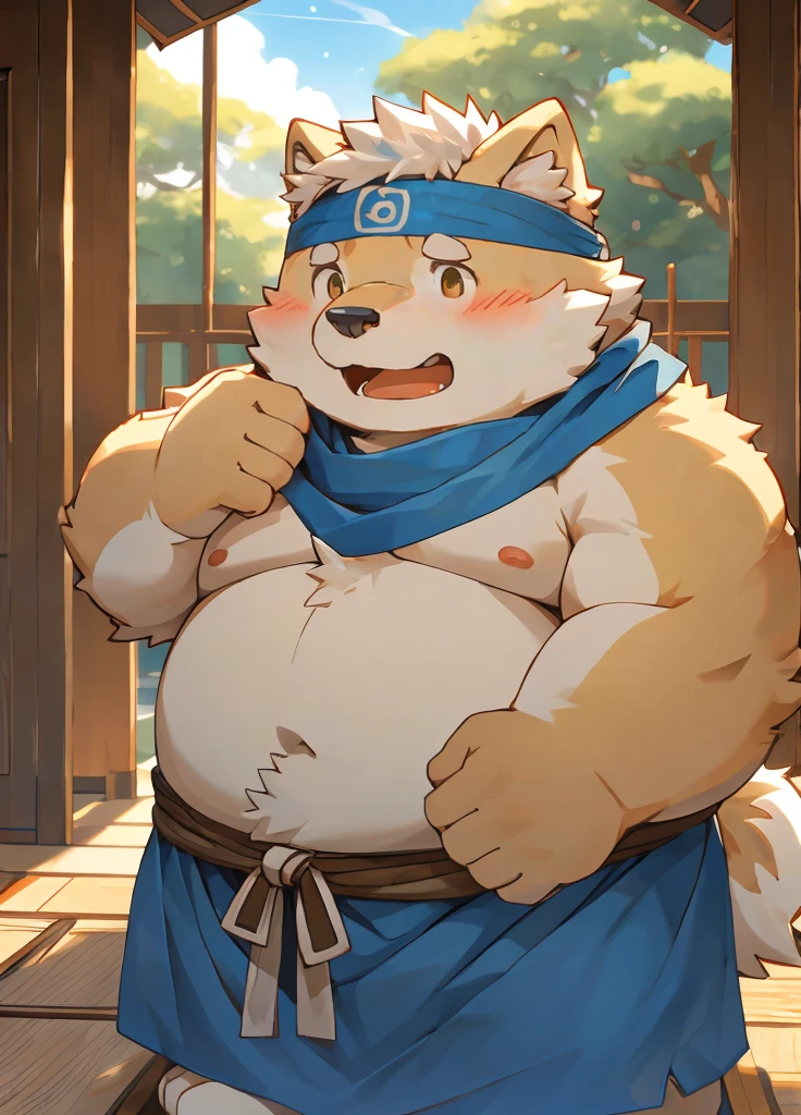 (masterpiece)，(Very detailed)，(best quality)，hairy，Shiba Inu，fur，white hair，Gray pupil，Chubby，(Shota)，(Japan samurai attire)，((blue scarf))，((Brown headband))，(blush:1.1)，((shy))，紧张shy的表情，Temple Background，8K，(high quality)，(Ultra high quality)，(Super detailed)，(Best Works)